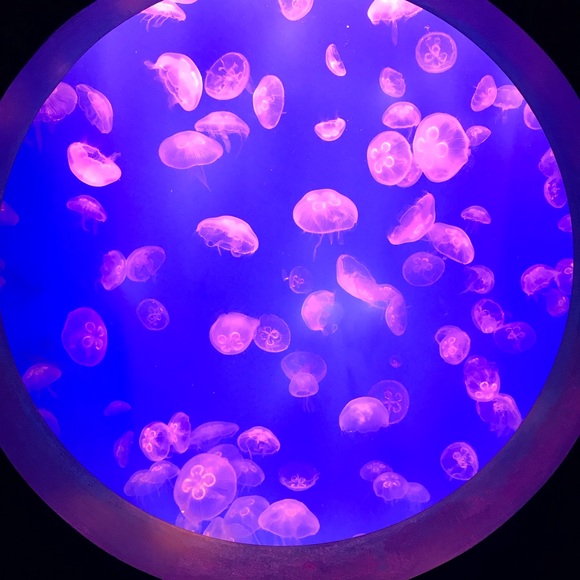 Meet your Posher, Phil - Picture 1 of 1